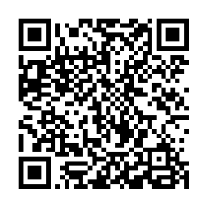 这一次三大家族的人派出来的都是各家的下一任家主的人选二维码生成