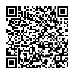 这一次出来的并不是大家都非常非常熟悉的少主洪大力的头号狗腿凌小依二维码生成