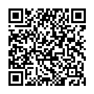 这一次受到召集并且修为达到小主宰境层次的赤锋军战士二维码生成