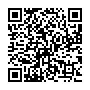 这一次是不是和上一次一样――你和陆姐在什么地方产生了共鸣二维码生成