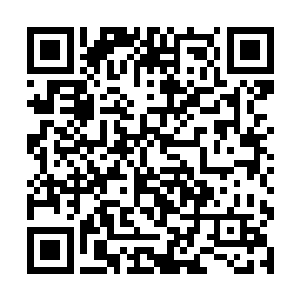 这一次是不论如何也不可能从长房再过继一个孩子了二维码生成