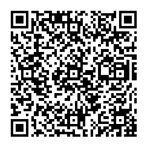 这一次来视察宋州城市建设也是在于黄鑫林一道实地察看了宋州垆头机场改扩建工地之后临时起意来看一看的二维码生成