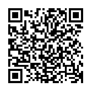 这一次的亡灵大军比起上几次的亡灵大军来不知道多了多少倍二维码生成