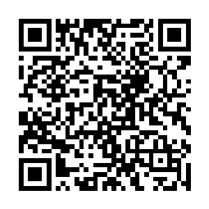 这一次过去一定要狠狠的教训一下那些胆大妄为的人二维码生成