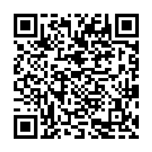 这一次过去我们只需要他们把家族的名字改一下就可以了二维码生成