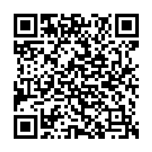 这一次针对选取代言人的活动倒是百分百用了心二维码生成