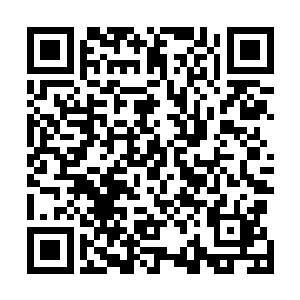 这一次龙皇在接近海面不到十米的时候就已经稳住了身形二维码生成