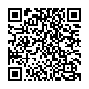 这一种叫声似乎是动物在召唤自己的伙伴前来对付敌人的声波二维码生成