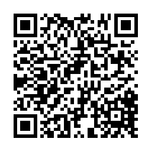 这一站几乎是将杨家所有的有修为之人尽数灭掉了二维码生成