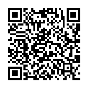 这一行人的修为最低的都已经到了练气大圆满的境界二维码生成