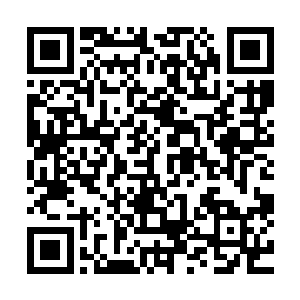 这一路看到的每件事情都让我对这些家伙不会抱有任何期望了二维码生成