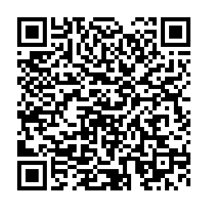 这一道带着惊人力量波动和杀意波动的血色光芒并没有什么攻击力二维码生成