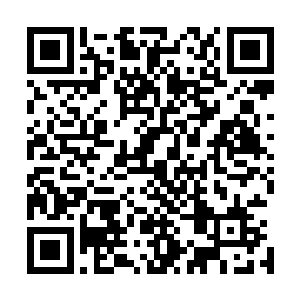 这一颗丹药可以保证你们十天之内不会出现万虫噬心的痛苦二维码生成