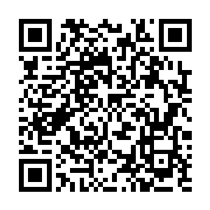 这万象草的珍稀程度一点儿不亚于廖不凡拿出来的未央草二维码生成