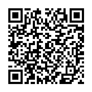 这不顾一切的作死行为吓得兔子和伊伊都是一个颤抖二维码生成