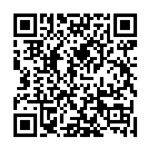 这与出一本书上百万销量就有最低几十万版税相差太多了二维码生成