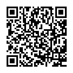 这世上最接近不死之身的体质便是她们白家的梅花九数体质了二维码生成
