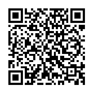 这世间有什么药可以令人在短短十几天之内实力迅速提升突破二维码生成