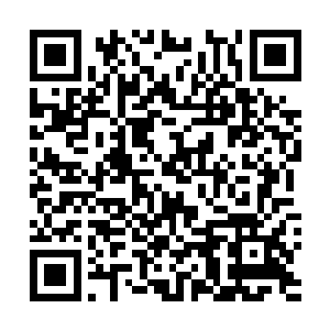 这东西哪怕是放在妖界还有仙界都会引来无数大佬的觊觎二维码生成
