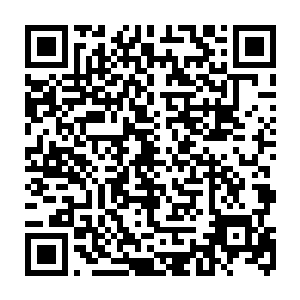 这东西对于拜火圣地这种修炼火属性功法的宗门来说绝对是最顶尖的天材地宝二维码生成