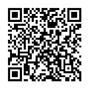 这两个人也有一半的机会把龙皇神殿拿到自己的手里二维码生成