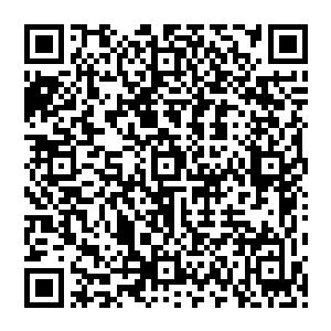这两个人最信任的下属也不是特别清楚的……只是隐约的知道龙爷认识了一个挺厉害的高手而已二维码生成