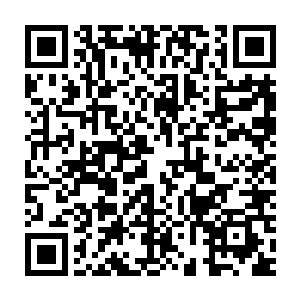这两个仙君后期修士是数百年前离开项家出去寻求大道的项家弟子二维码生成