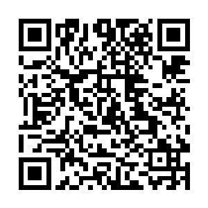 这两个小家伙调皮的程度绝对比他们小时候还要恶劣二维码生成