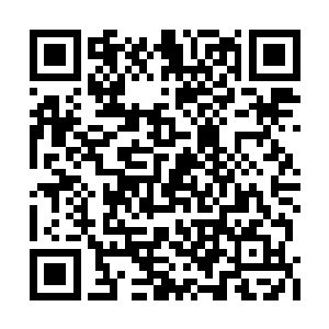 这两口灵剑在楚暮动用深蓝世界的力量淬炼之下二维码生成