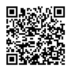 这两只鸡倒有一大半是进了秦宇和张华两人的肚中二维码生成