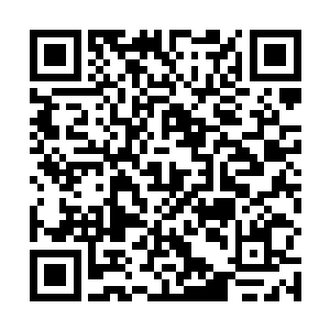 这两名小绊已经对准了射箭的方向猛的扬起了几颗丸子二维码生成