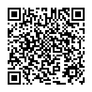 这两株梵天龙根与那被自己杀死旋丹强者留下的无名古书上绘制的图形一模一样二维码生成