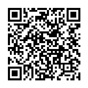这两种极端的气质出现在他的身上一点违和感都没有二维码生成