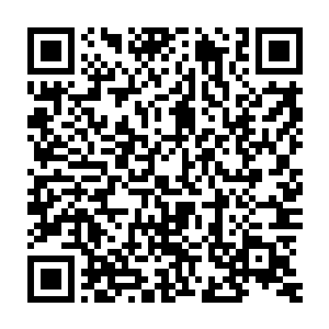 这个……实在是抱歉了……我师兄并不是故意想要来找麻烦的……二维码生成