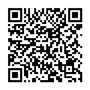 这个世界其实跟外界的修真界大宇宙是不在一个地方的二维码生成