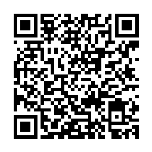 这个世界的法则就是让里面所有的人沿着自己的轨迹继续下去二维码生成