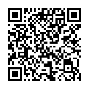 这个东西的价值在修真界绝对可是比仙器还要贵重的东西二维码生成
