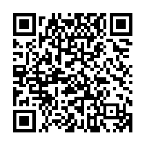 这个人身上已经看不到其他一丁点儿跟人类有任何相似的地方二维码生成