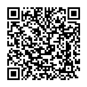 这个以前不大受重视的大荒之子显然有足够的资本推翻整个神族的统治二维码生成