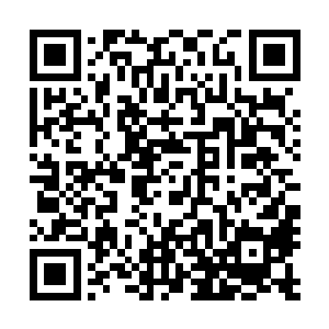 这个决定当然遭到不少佣兵的反对――毕竟他们三人的身份二维码生成