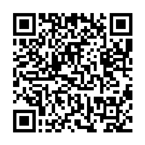 这个冷漠男子在水池中捞到的好处竟不单单只是淬炼了神识二维码生成