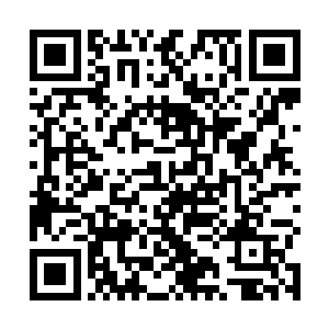 这个前半部分猫追老鼠戏耍过他的小虫子――这世界上二维码生成