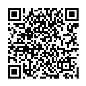 这个功法跟大陆上修炼的功法简直就是没有一点相同的地方二维码生成