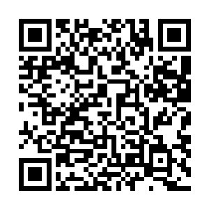 这个医院最大的领导啊……他们除了医院的最大领导之外二维码生成