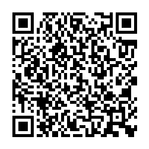 这个可以承受问道之下任何全力攻击的光罩仿佛都已经快要承受不住二维码生成