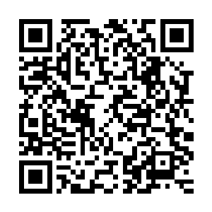 这个名噪星宿海戡乱会的燕北虹不过是他白子良的手下败将而已二维码生成