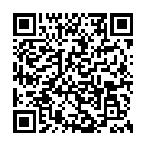 这个地方的确是每十五分钟就会有死亡蠕虫出现二维码生成