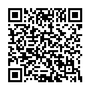 这个宗门在几万年之前肯定不是默默无闻的存在二维码生成