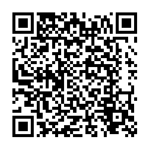 这个官职除了以上的那一堆正式的身份文件和更多的元帅依仗以外二维码生成