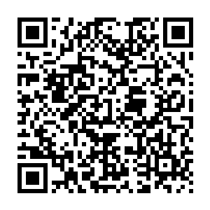 这个家族可以指定其他任意一个家族在城内的财产由他们完全继承二维码生成